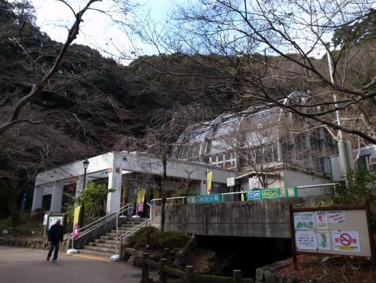 箕面公園昆虫館