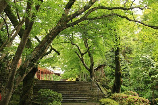 松尾寺