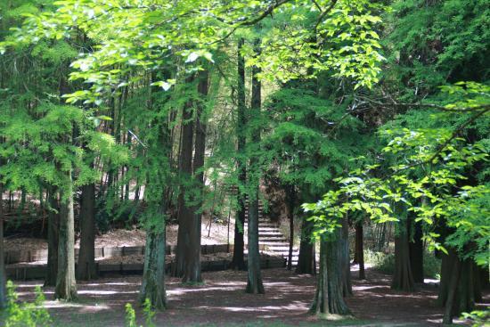 千里中央公園