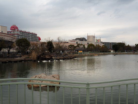 市場池公園