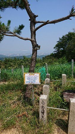 お菊松の碑