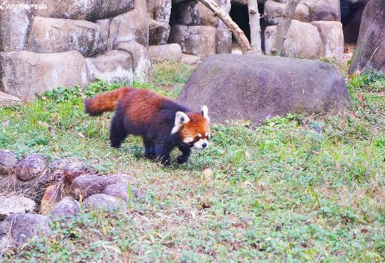 天王寺動物園