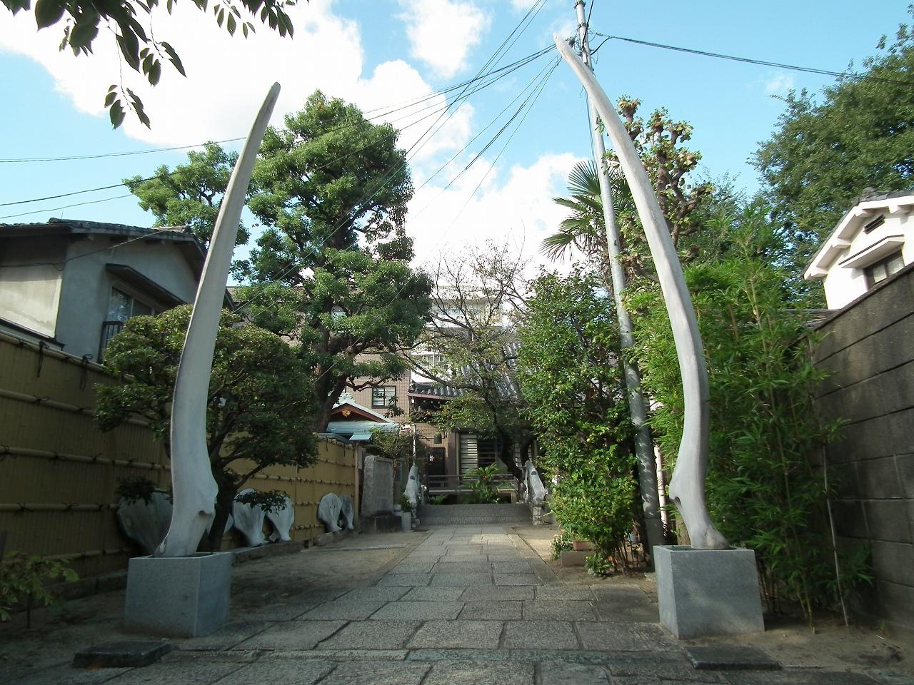 瑞光寺