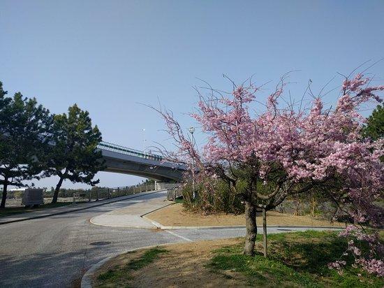 二色の浜海水浴場