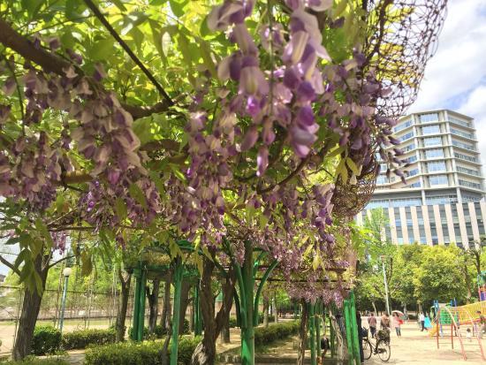 下福島公園
