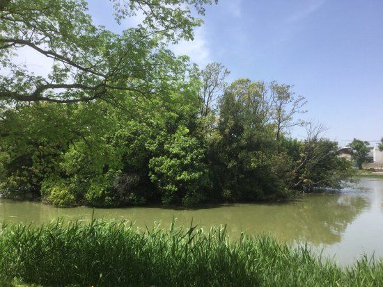 万代池公園