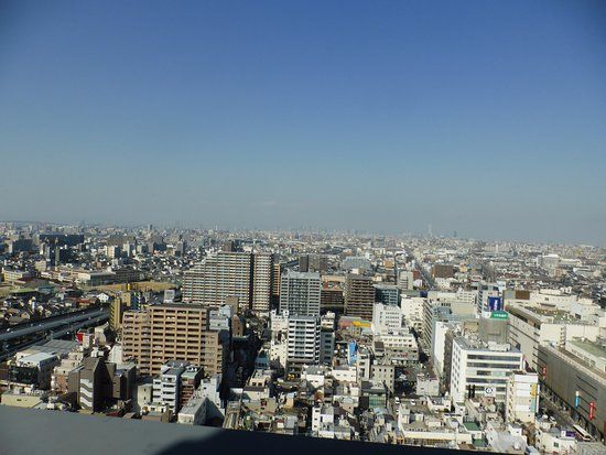堺市庁舎展望ロビー