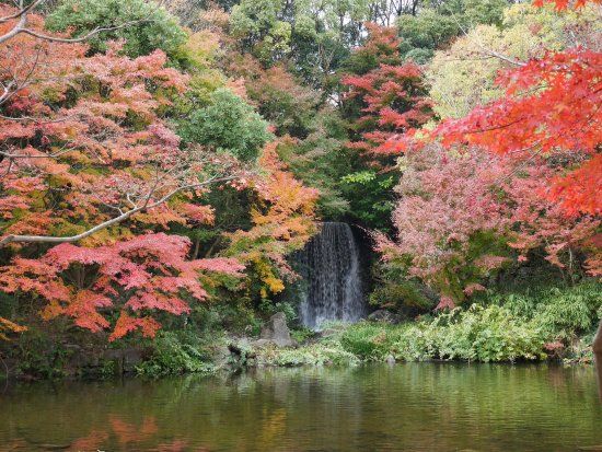 万博記念公園