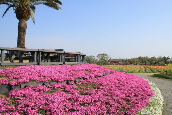 和泉リサイクル環境公園