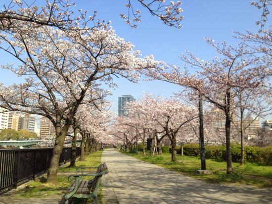 桜之宮公園