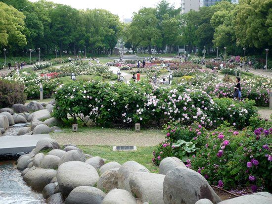 靱公園