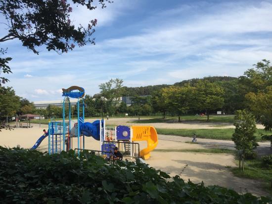 紫金山公園